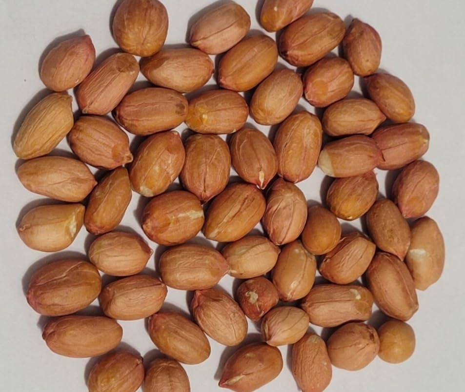 Germination best at 68-75F for PeavyTailor seeds.