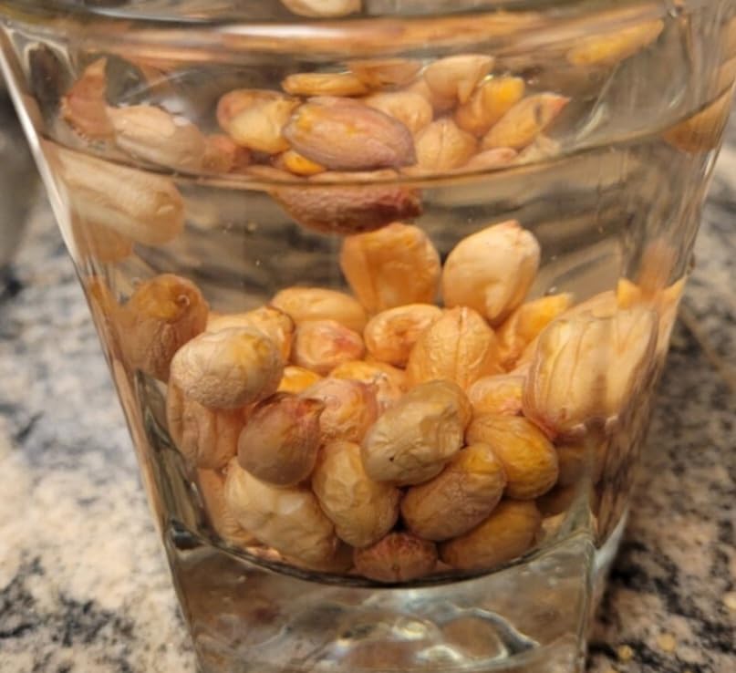 PeavyTailor peanuts forming underground nuts ideal for roasting.