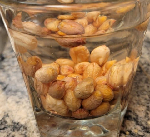 PeavyTailor peanuts forming underground nuts ideal for roasting.