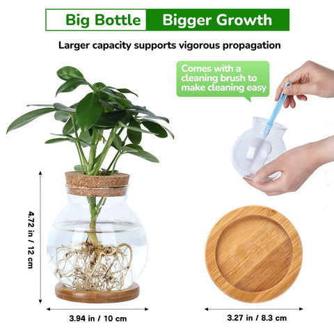 Pechaut Propagation Station clear glass vase highlighting elegant design for decor