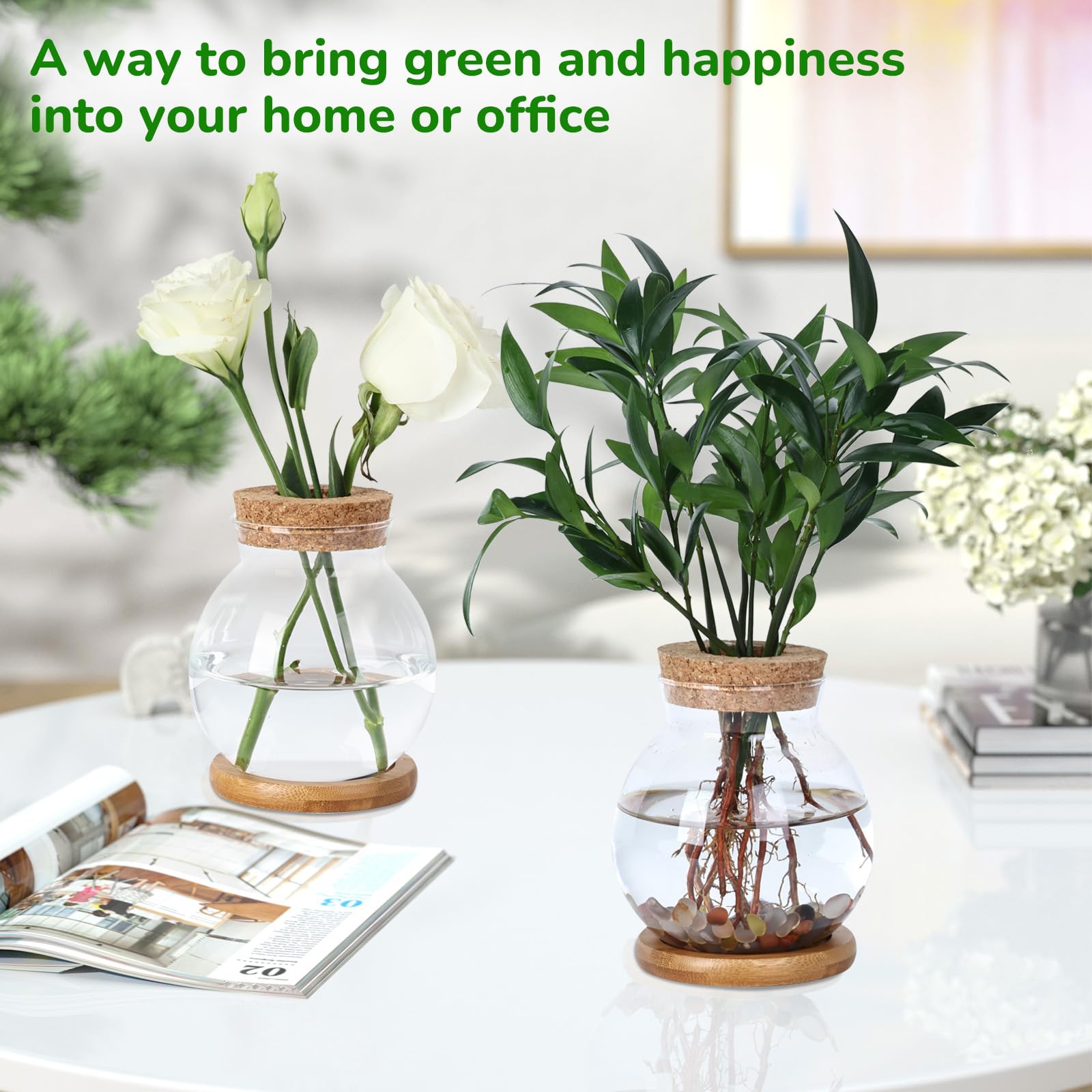 Pechaut Propagation Station easy cleaning brush supports simple maintenance