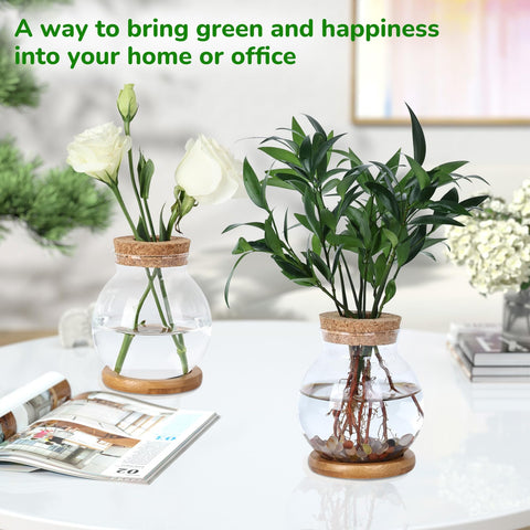 Pechaut Propagation Station easy cleaning brush supports simple maintenance
