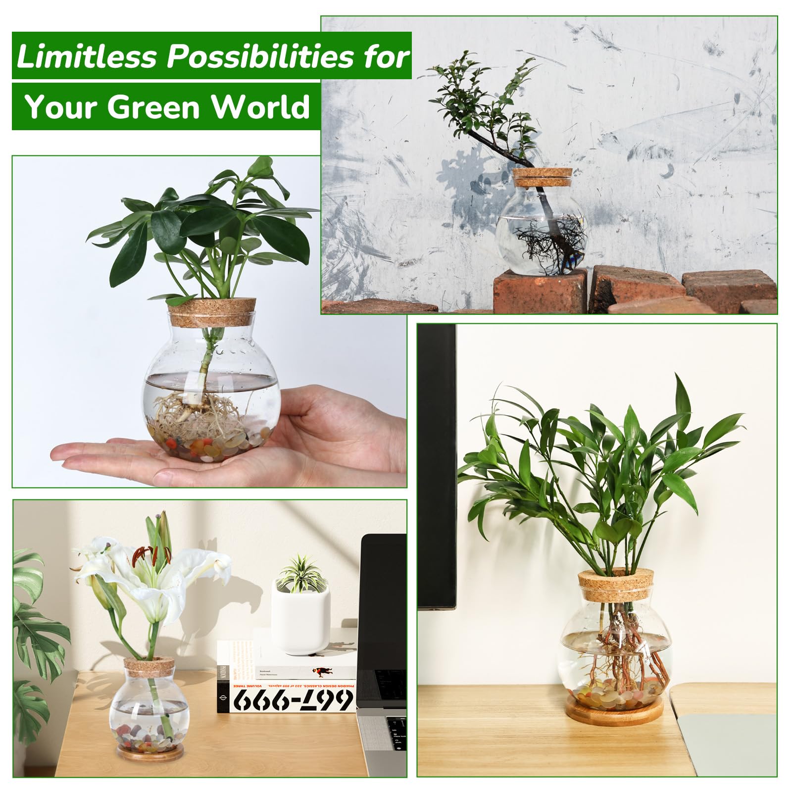 Pechaut Propagation Station office decor adds greenery to workspaces
