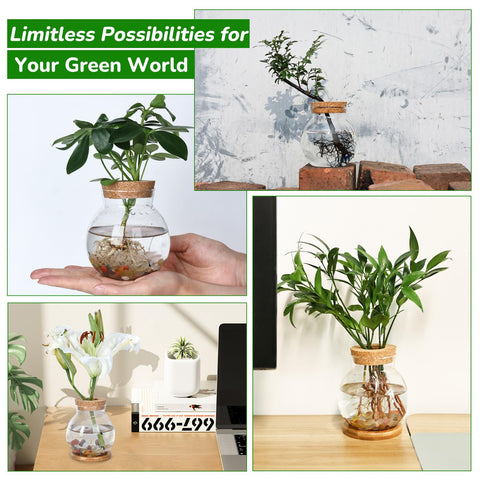Pechaut Propagation Station office decor adds greenery to workspaces