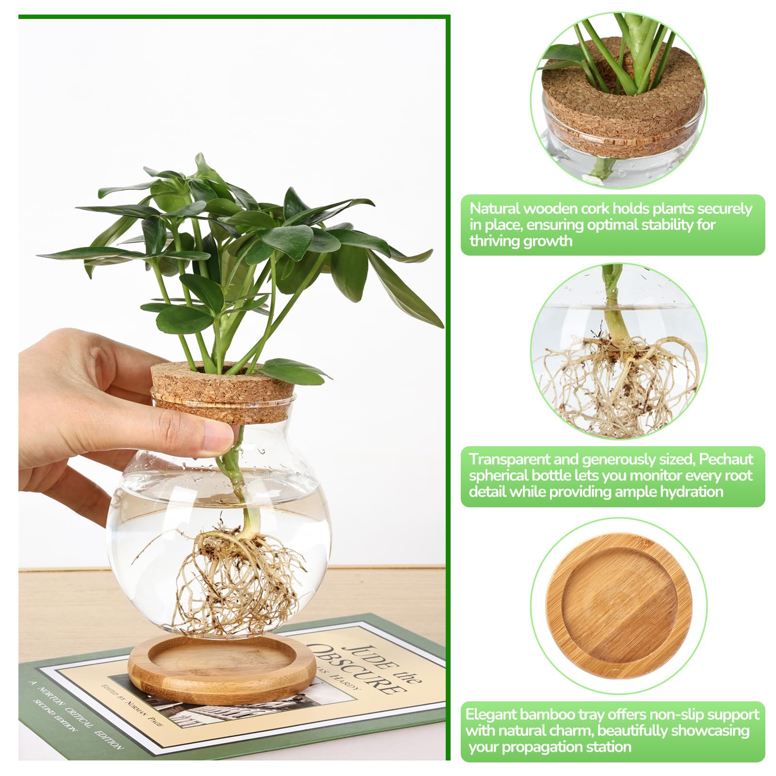 Pechaut Propagation Station water propagation ideal for thriving water-rooted plants