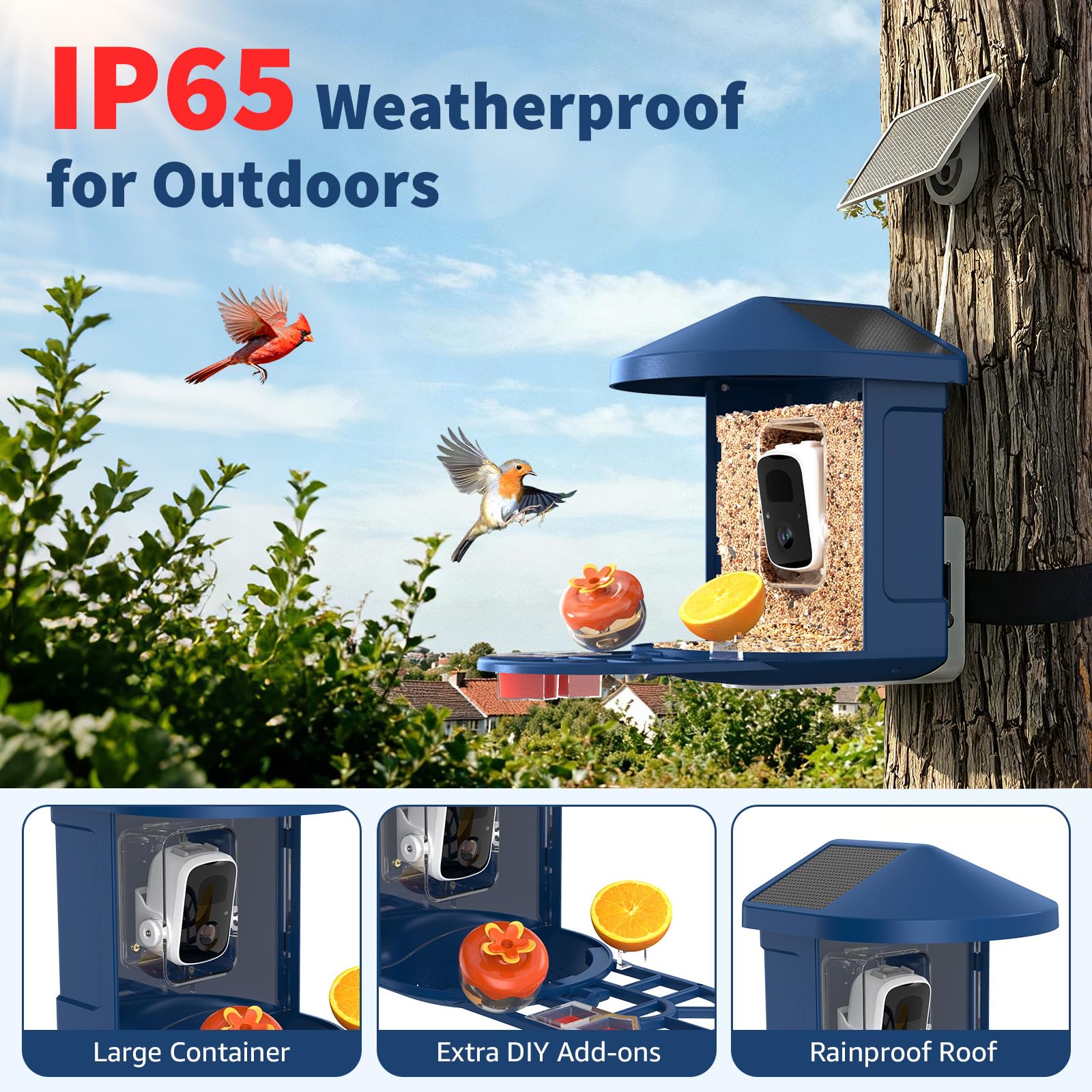 PeckCam 2K Live View display provides crisp daytime footage with wide-angle coverage