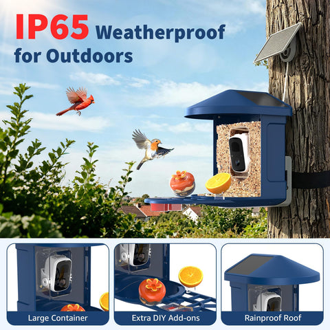 PeckCam 2K Live View display provides crisp daytime footage with wide-angle coverage