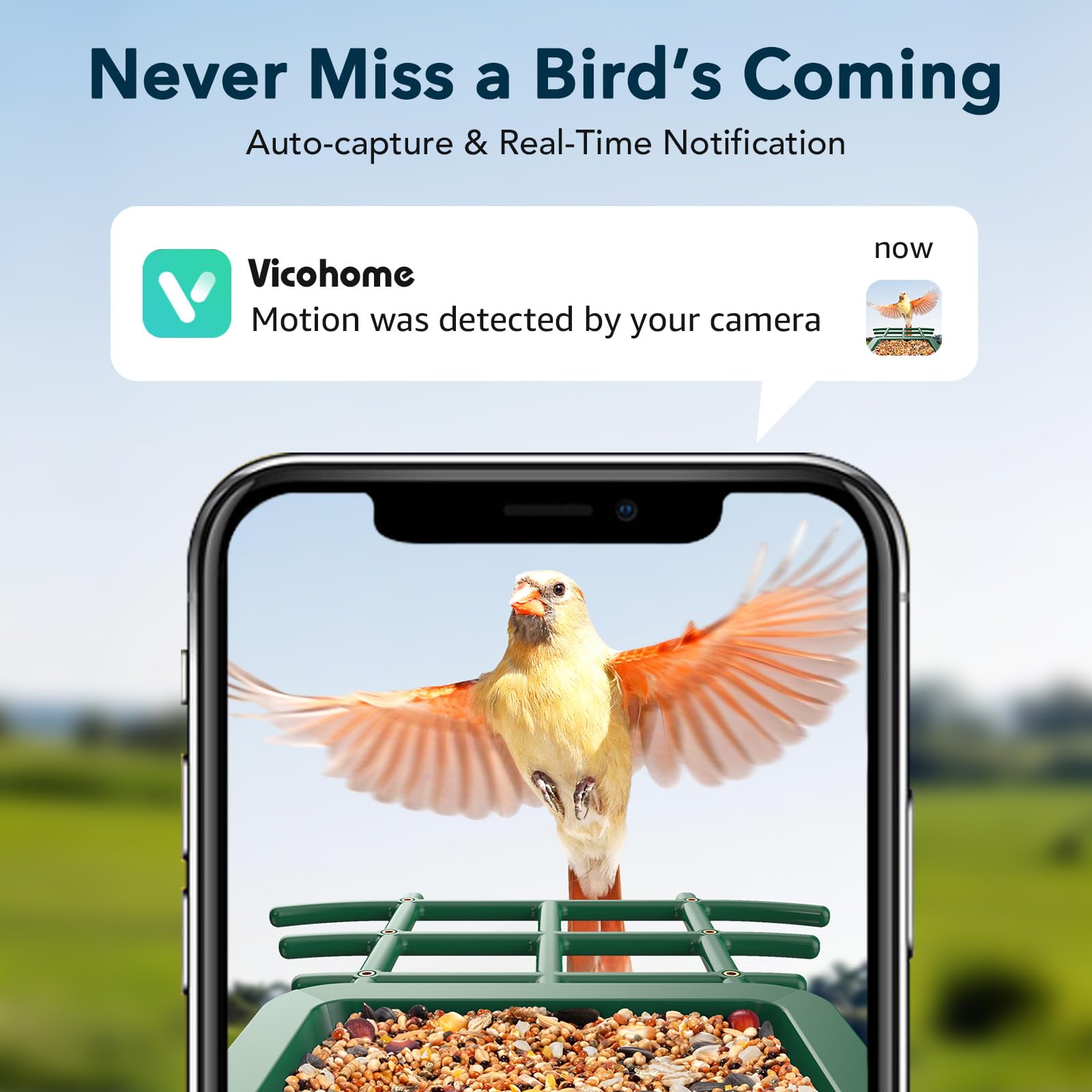 PeckCam AI identify birds analyzes species from footage for bird lovers.