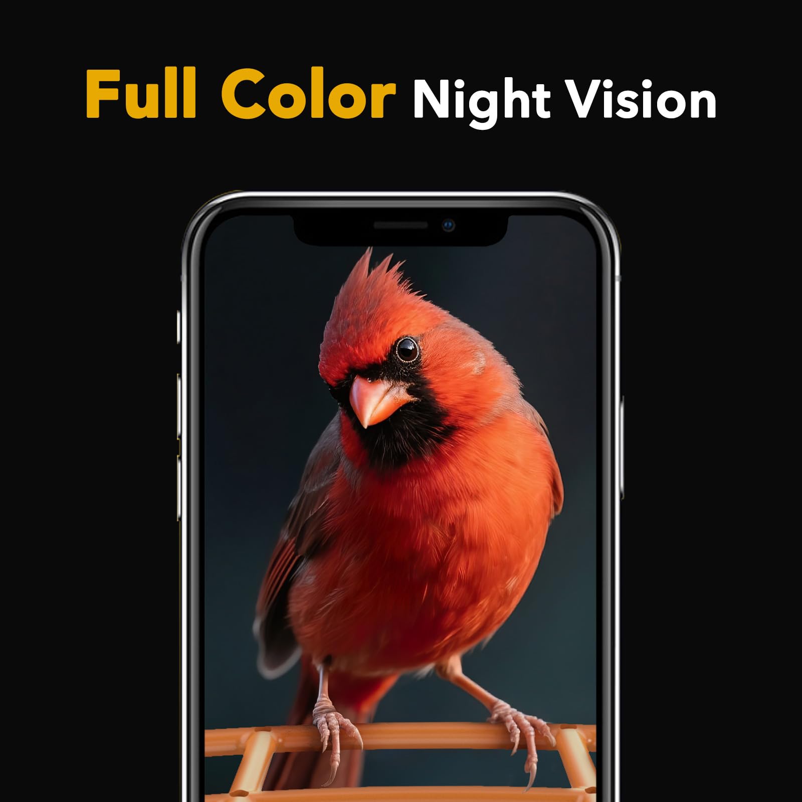 PeckCam Bird Feeder camera capturing bird arrivals in real time.