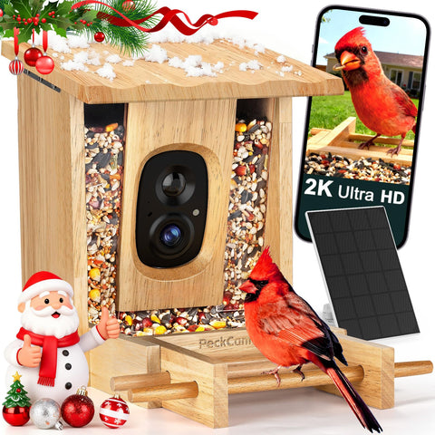 PeckCam Bird Feeder camera front view for outdoor birdwatching.