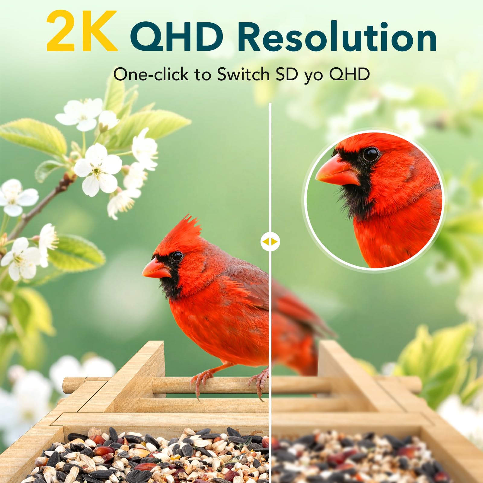 PeckCam Bird Feeder camera side view showcases compact weatherproof design.
