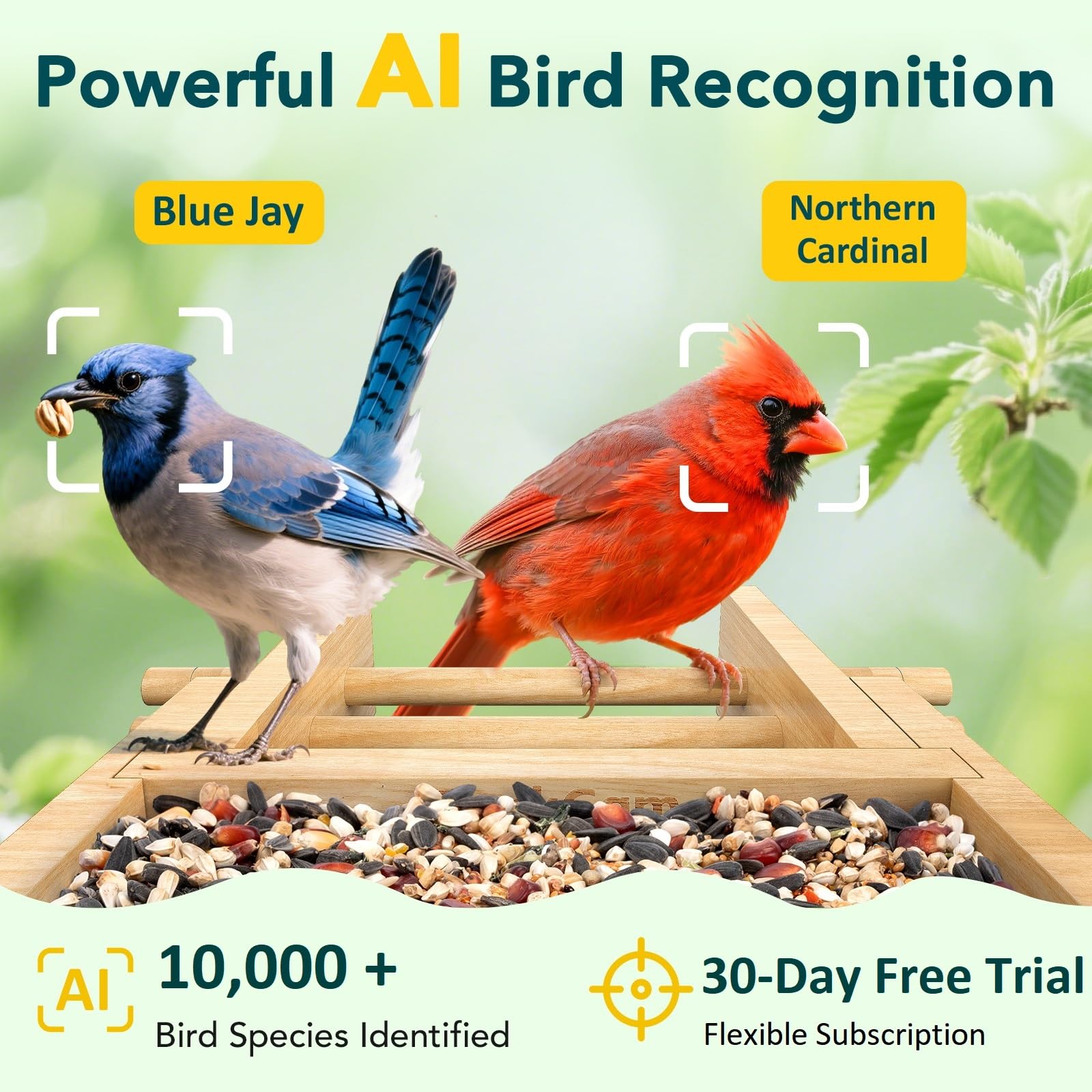 PeckCam Bird Feeder camera with solar panel for continuous power.