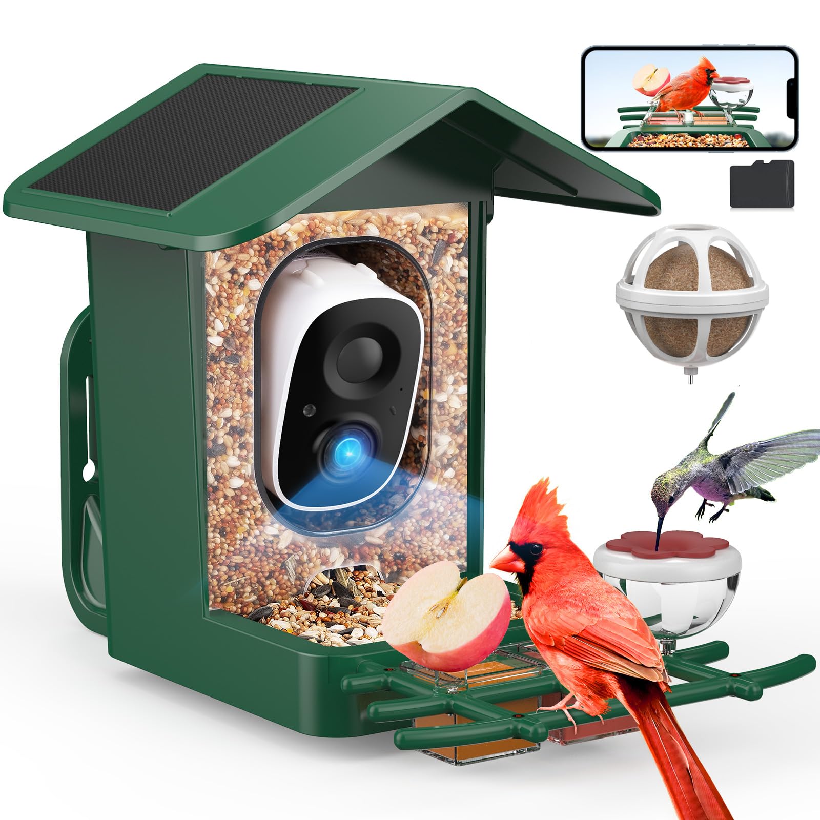 PeckCam bird feeder camera with solar power streams real-time backyard birds.