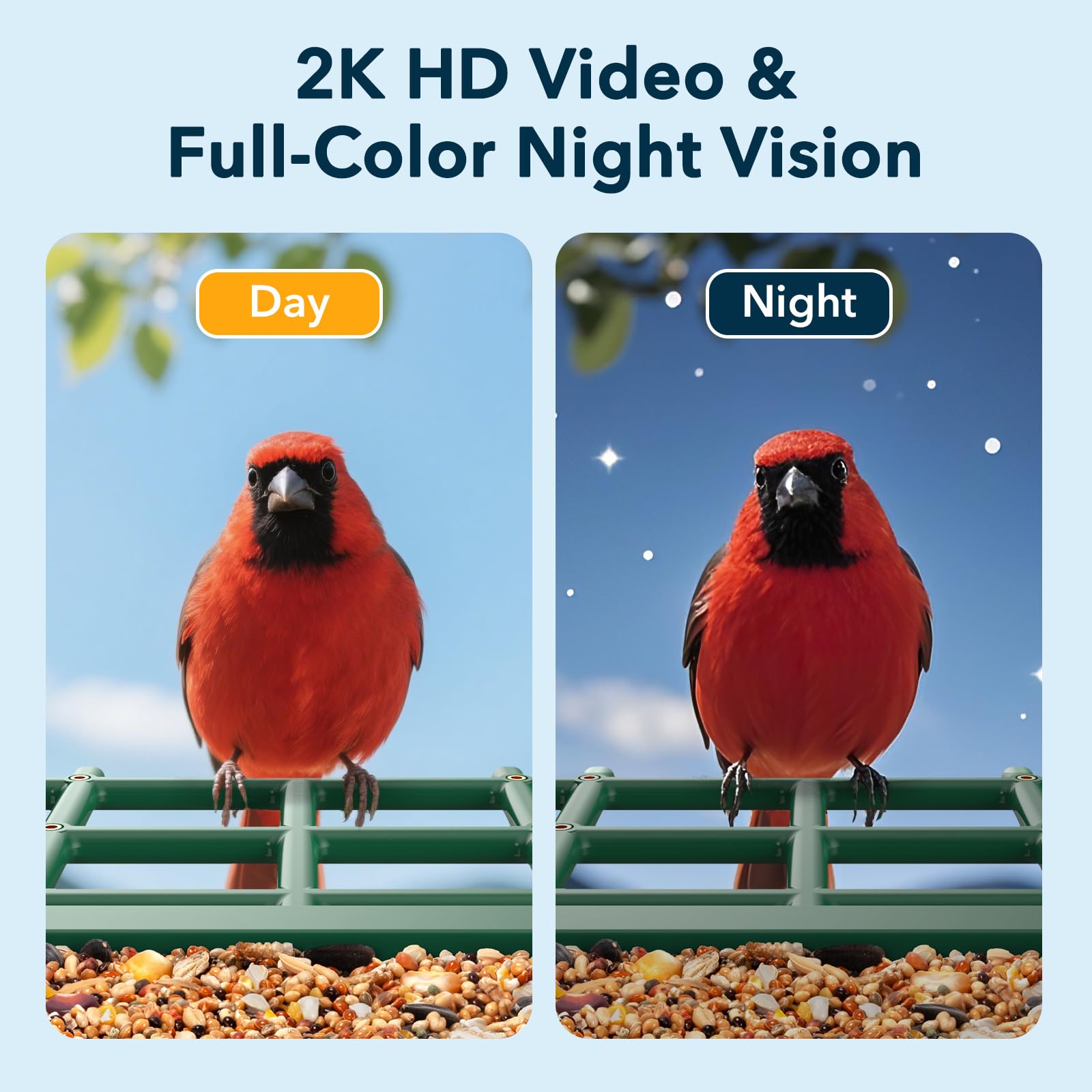 PeckCam diy-addons-suet-ball-honey-fruit-water attracts more species to your feeder.