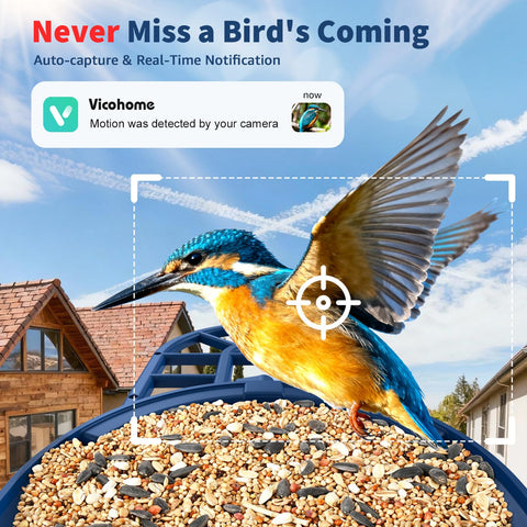PeckCam Fruit Holder accessory helps attract diverse species with fewer refills