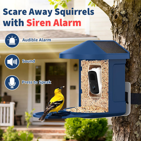 PeckCam Multi-User Setup lets four devices stream live simultaneously