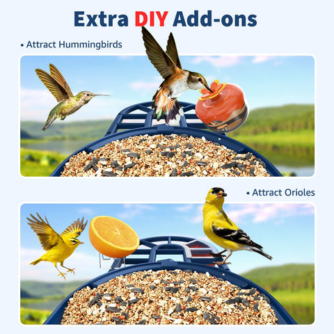 PeckCam Night Vision coverage reveals nocturnal birds in color