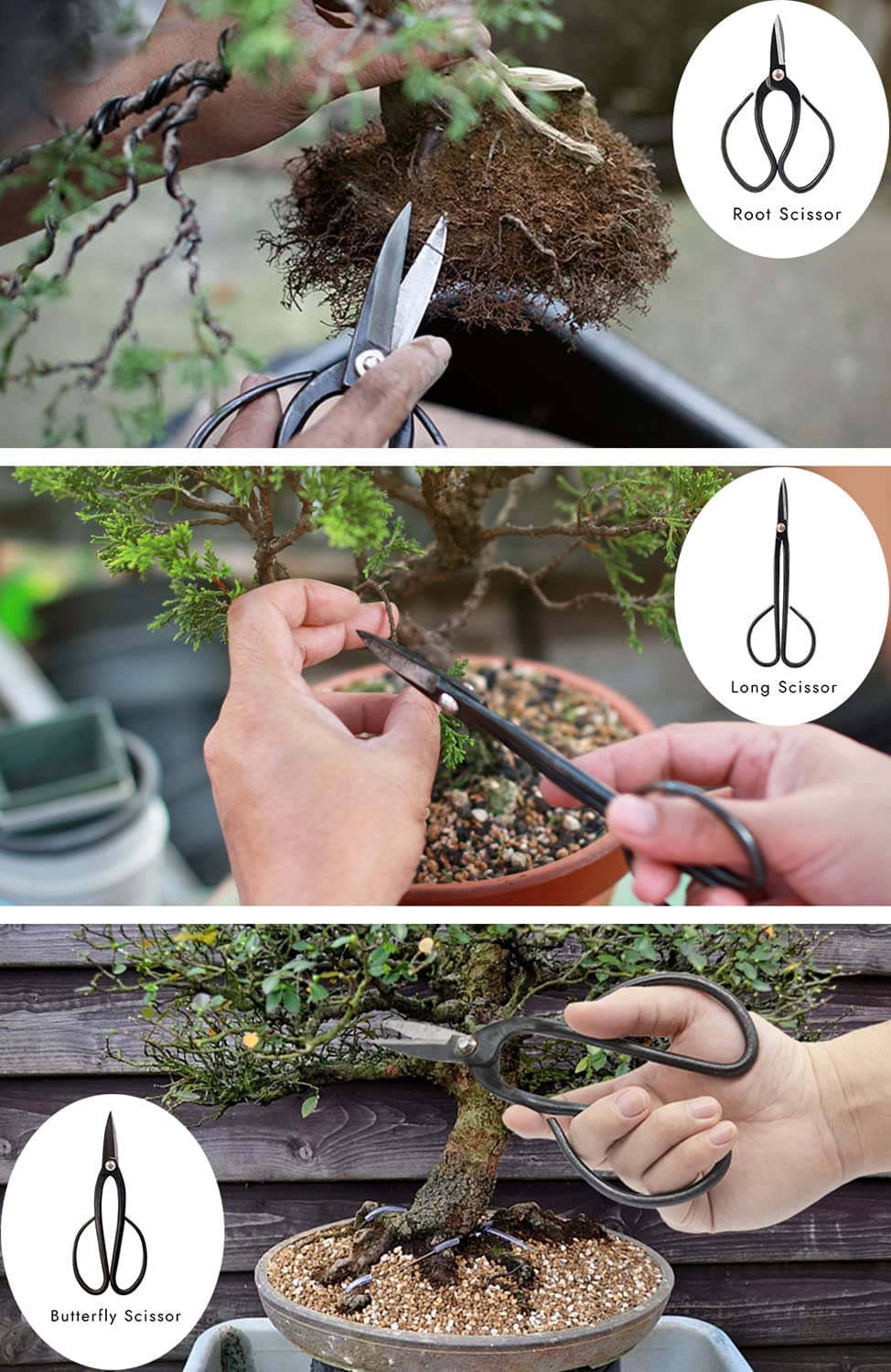 PEEORNT bonsai leaf cutters and tweezers precise tools for delicate leaf work.