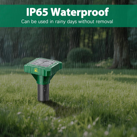 Peepst IP65 waterproof design withstands rain and snow