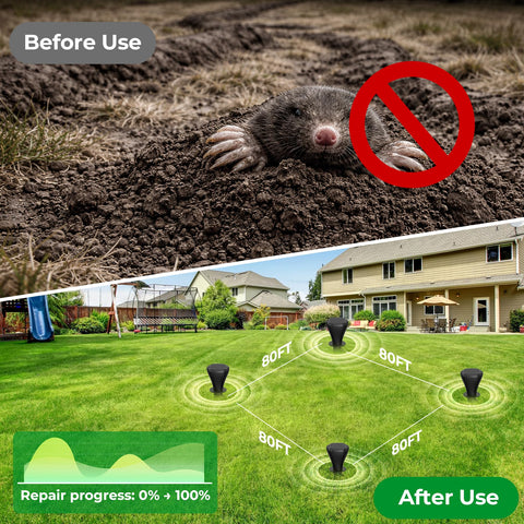 Peepst device operates from -4°F to 122°F for year-round protection.