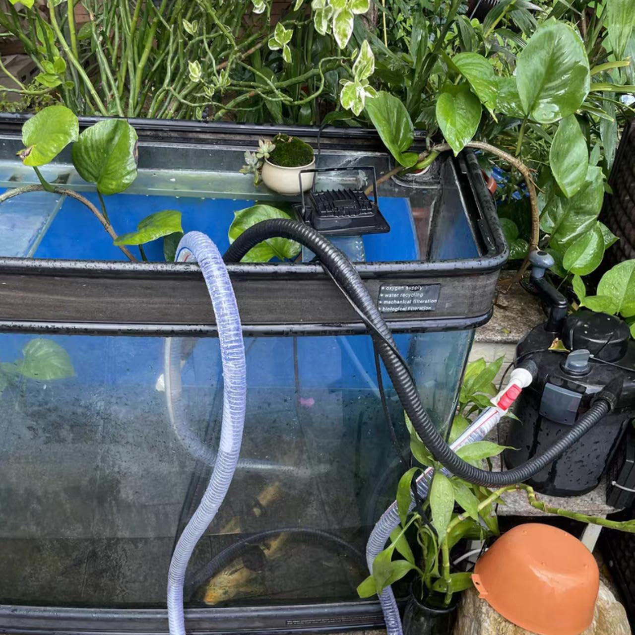 Outdoor pond installation using PEISONGFEI tubing in a garden setting.