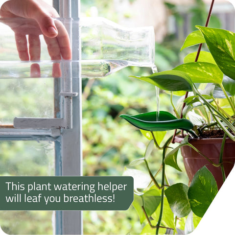 Leaflow in-soil demo shows spill-free watering to plant roots.