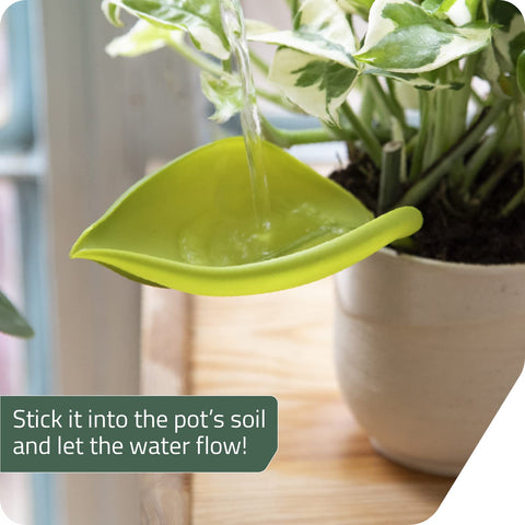 Leaflow indoor plants setup highlights easy, mess-free use.
