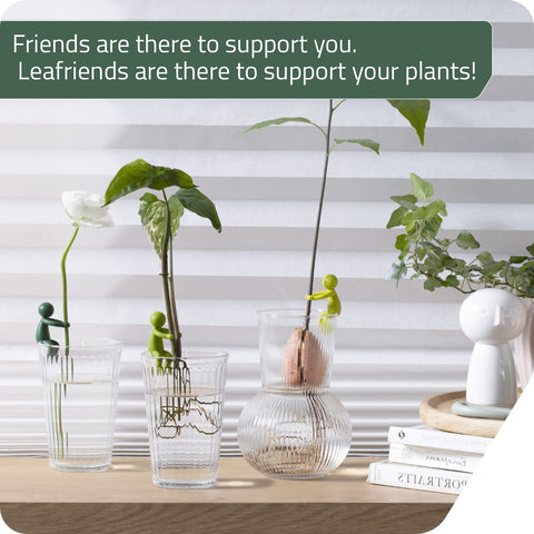 Leafriend sprout-support on vase-edge keeps shoots upright for healthier propagation.