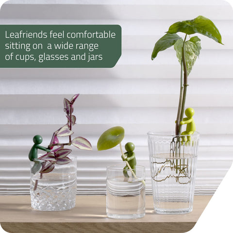 Three Leafriend sizes provide versatile support for flowers, herbs, and young vegetables.
