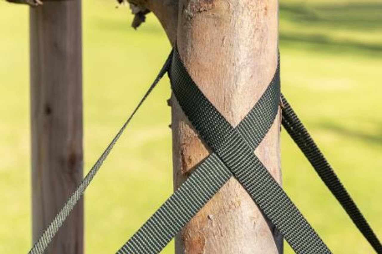 Pelican Rope 100 ft spool strap for long tree-staking projects.