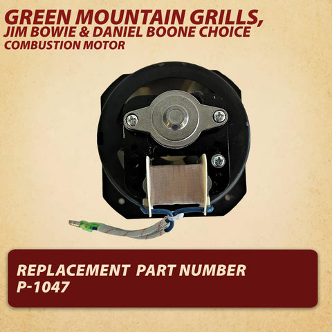 Pellethead 110V combustion fan motor close-up shows robust wiring.