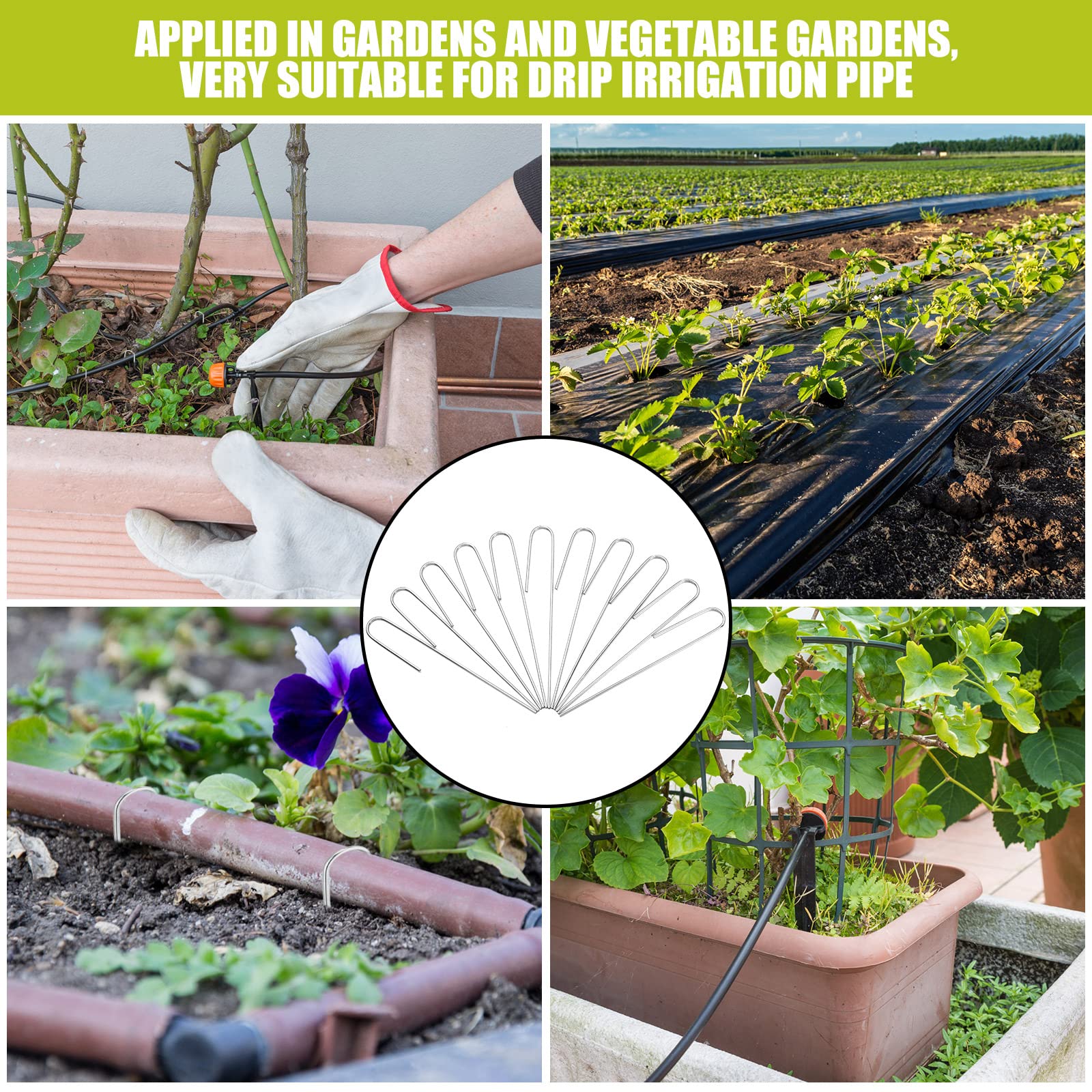 Pelopy close-up shows sturdy 5-inch prong for secure soil insertion.