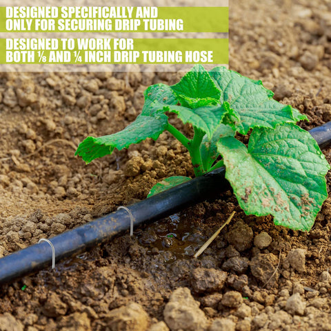 Pelopy drip tubing anchors for garden help secure hoses and prevent movement.