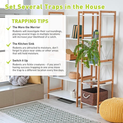 Pelrayt glue trap durability offers long-lasting pest control.