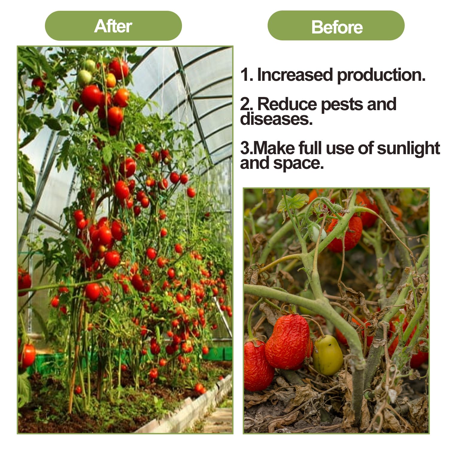 Pemaly galvanized steel hooks ensure long-lasting performance in greenhouse settings.