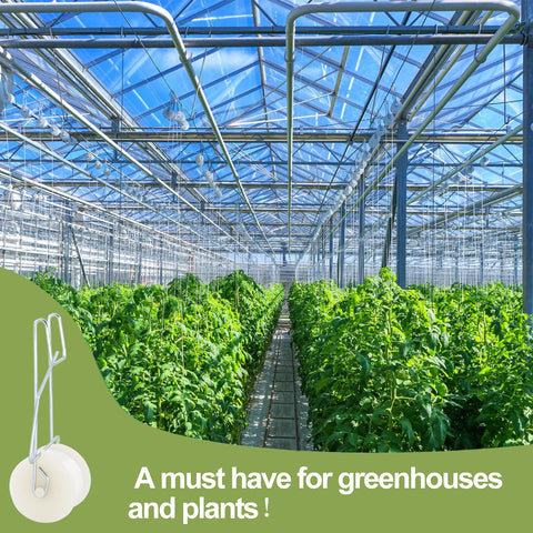 Pemaly greenhouse trellis kit keeps tomato vines organized and sunlight optimized.