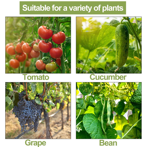 Pemaly vine growth-support improves airflow and reduces tangling in dense plantings.