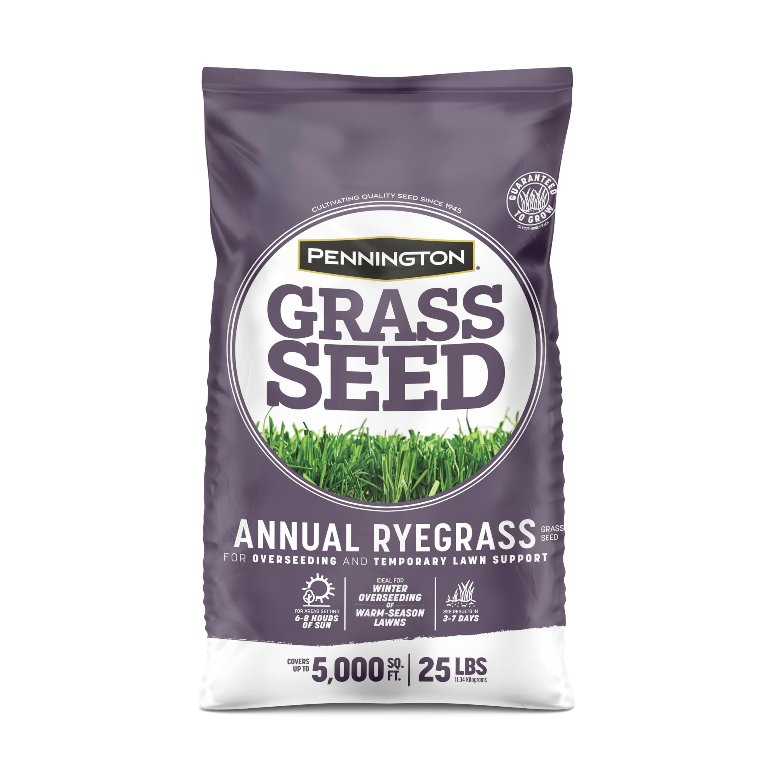 Pennington Annual Ryegrass seed bag ready for overseeding warm-season lawns.