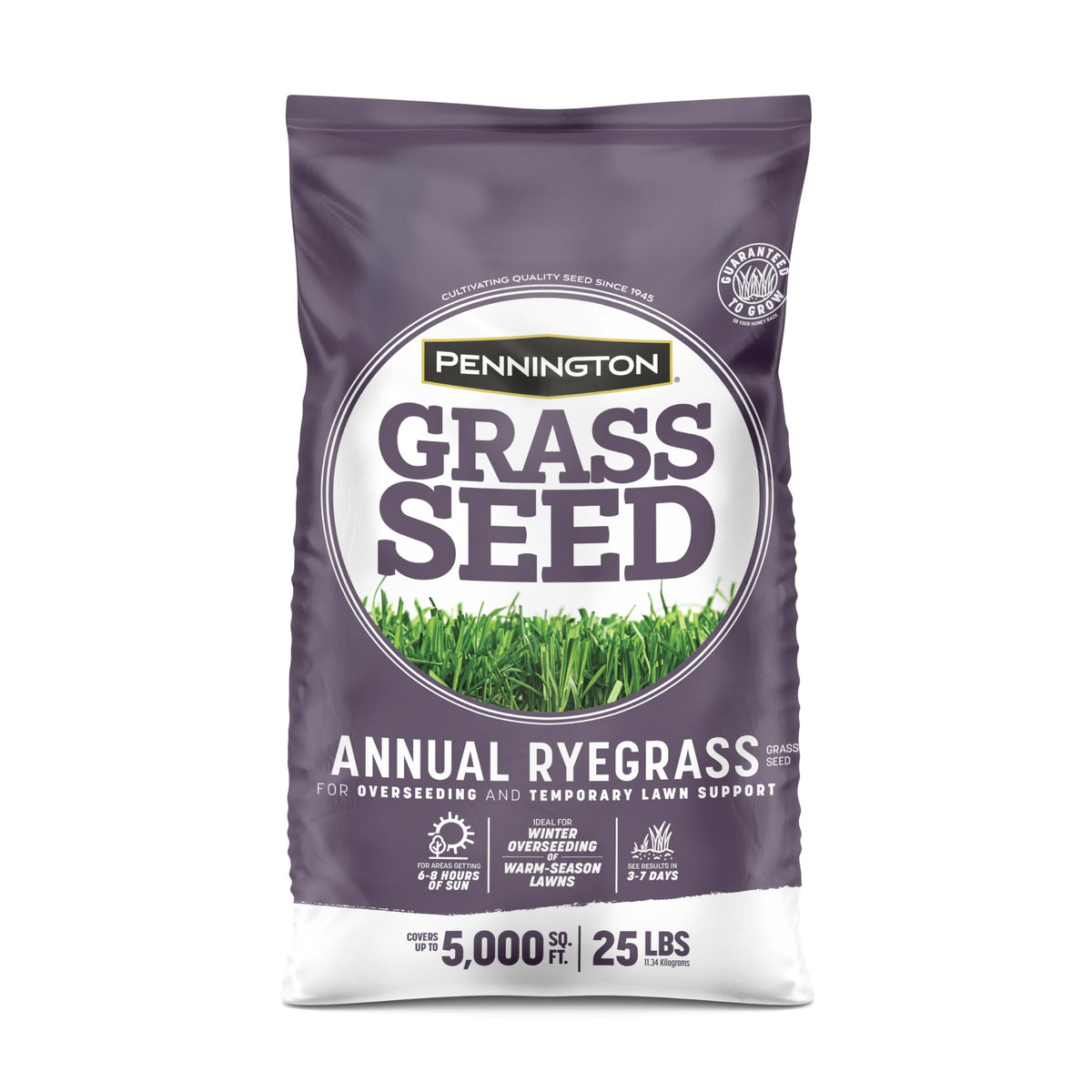 Pennington Annual Ryegrass seed bag ready for overseeding warm-season lawns.