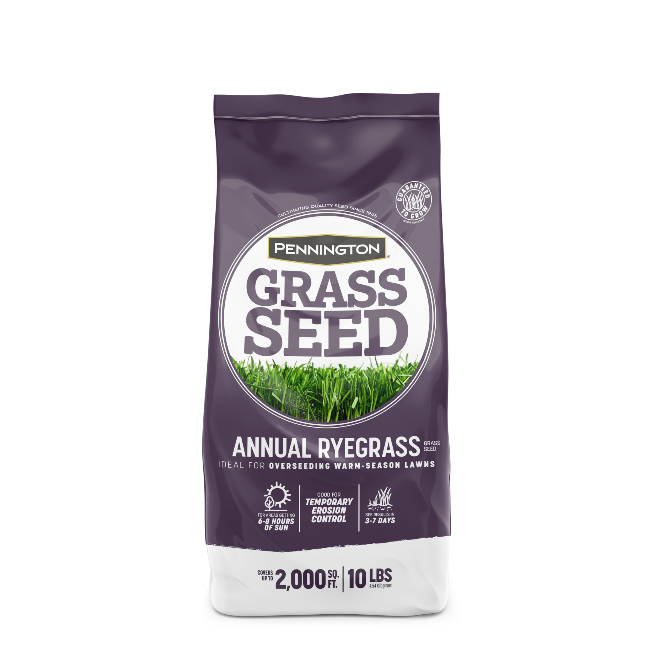 Pennington Annual Ryegrass seed bag for overseeding southern lawns.