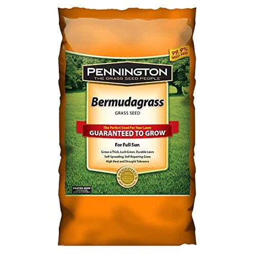 Pennington Bermuda seed bag for warm-season lawns with wear tolerance and drought resistance.