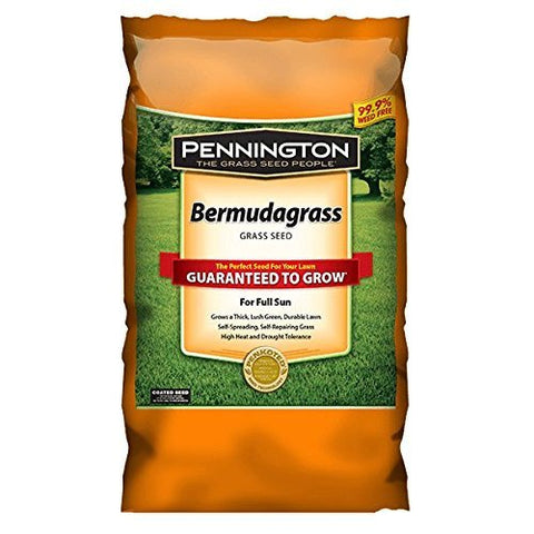 Pennington Bermuda seed bag for warm-season lawns with wear tolerance and drought resistance.