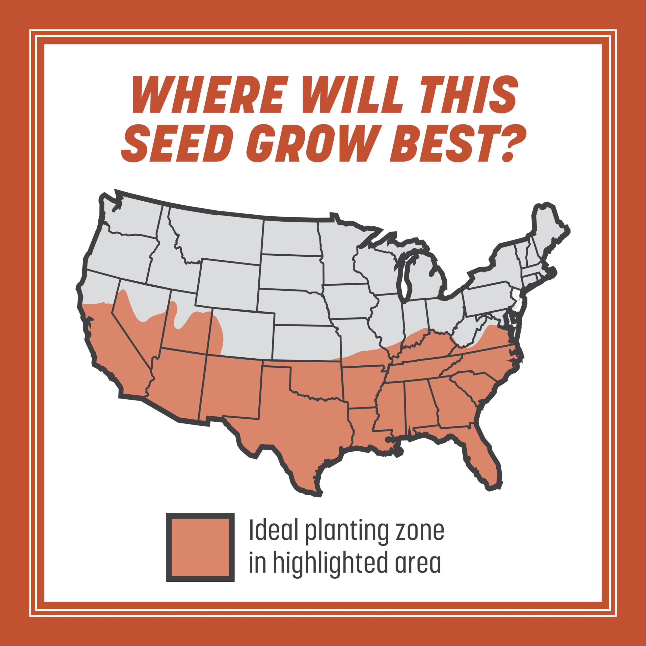 Pennington Bermudagrass seed creates dense, green turf for high-traffic areas.