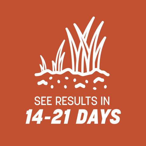 Pennington Bermudagrass seed offers heat tolerance for sunlit yards.