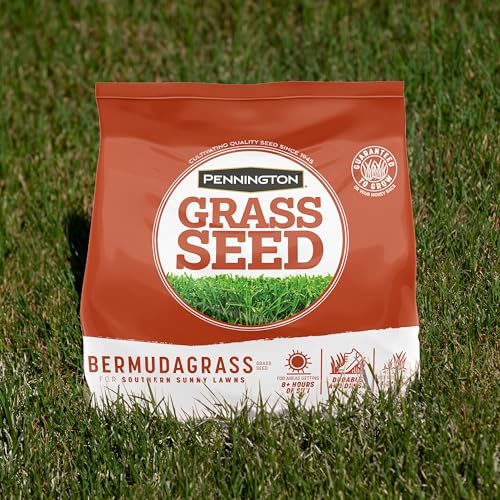 Pennington Bermudagrass seed for starting a new sun-loving lawn.