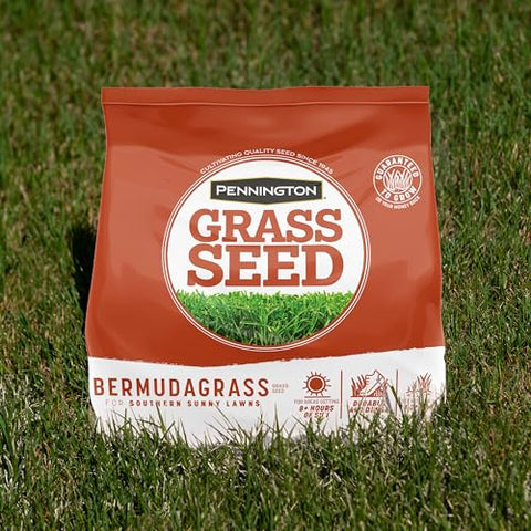 Pennington Bermudagrass seed for starting a new sun-loving lawn.