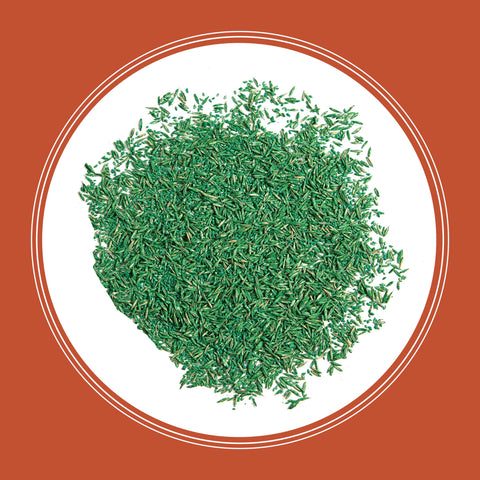 Pennington Bermudagrass seed helps overseed coverage efficiently.