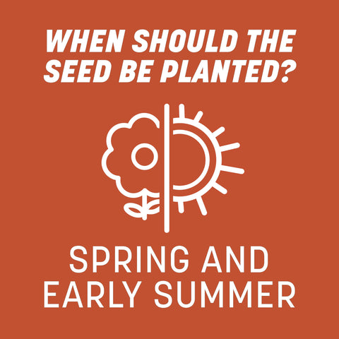 Pennington Bermudagrass seed ideal for spring planting windows.
