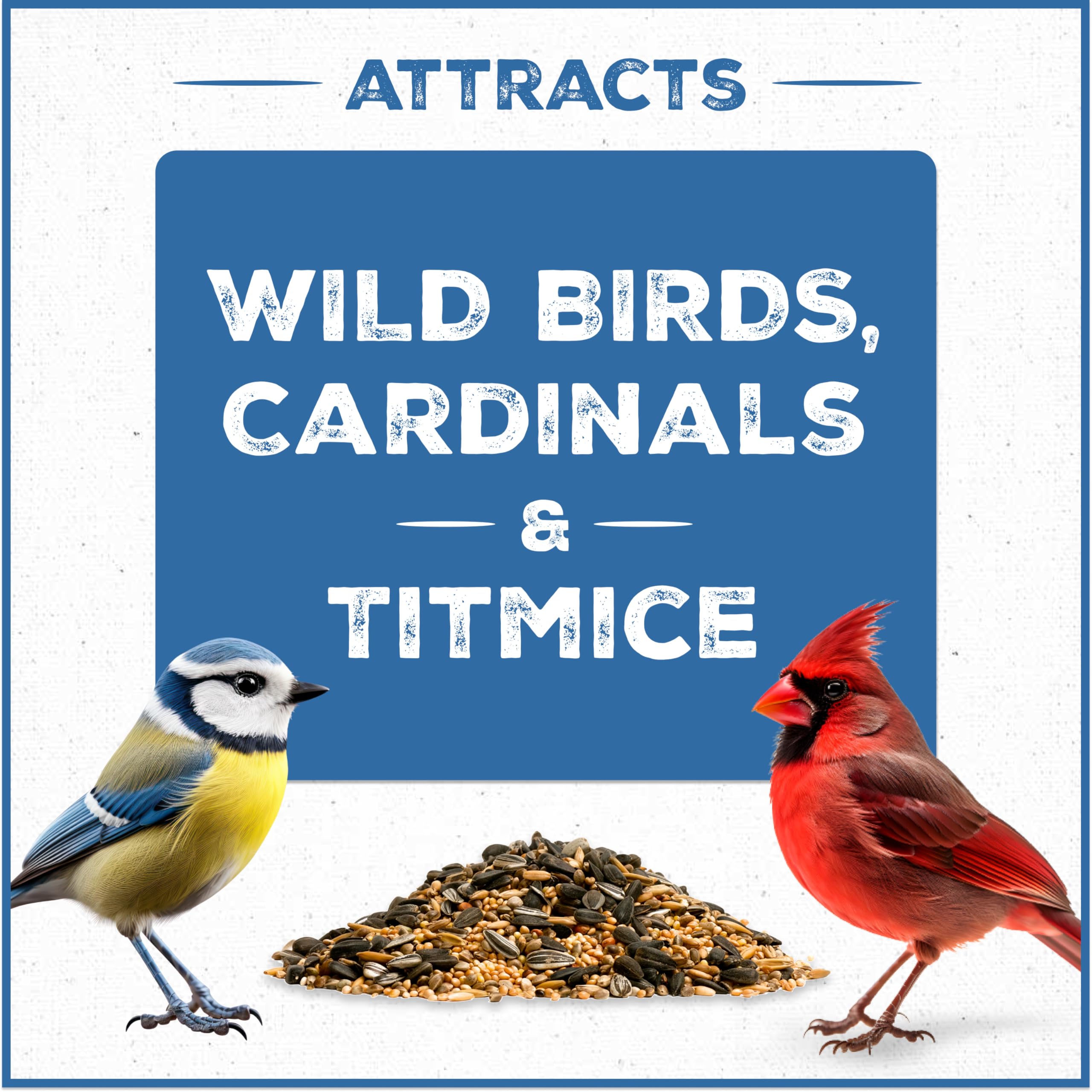 Pennington Bird-Kote enriched formula supports a balanced diet for songbirds