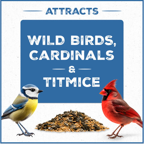Pennington Bird-Kote enriched formula supports a balanced diet for songbirds